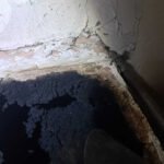 curatari cosuri de fum onea sighet (11)